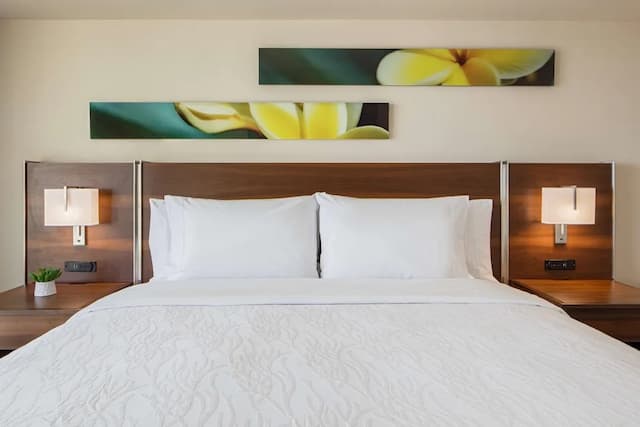 威基基海灘希爾頓花園酒店-套房, 1 間臥室, 城市景-1