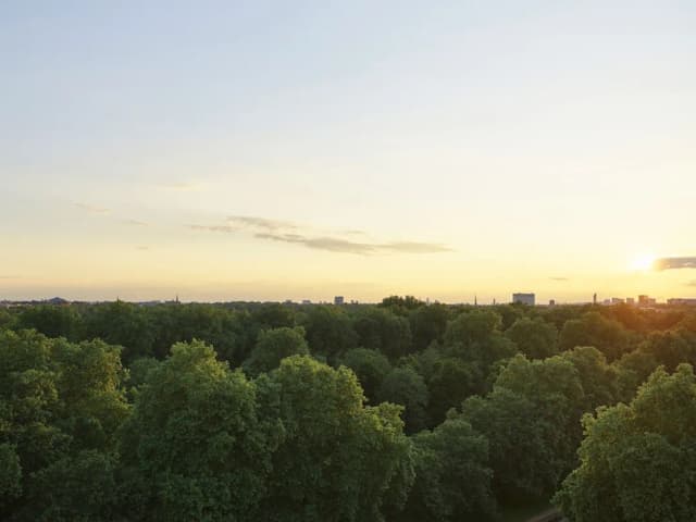 45 Park Lane - Dorchester Collection-Room, Balcony (Hyde Park)-5