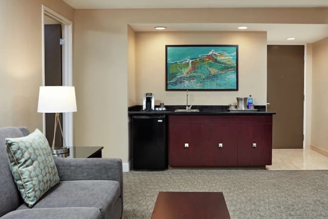 ヒルトン ヒューストン プラザ / メディカル センター-スイート キングベッド 1 台 禁煙-5