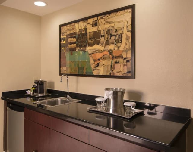 ヒルトン ヒューストン プラザ / メディカル センター-スイート キングベッド 1 台 禁煙-2