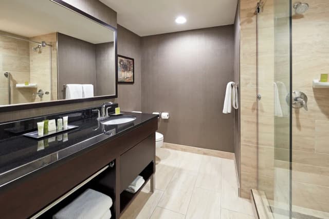 ヒルトン ヒューストン プラザ / メディカル センター-プレジデンシャル スイート キングベッド 1 台 禁煙-3