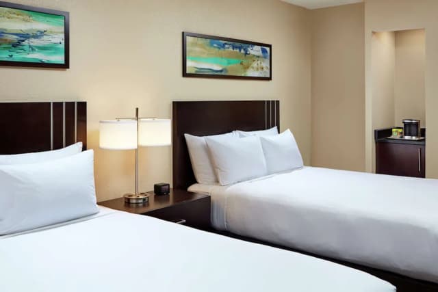 ヒルトン ヒューストン プラザ / メディカル センター-スイート ダブルベッド 2 台-3