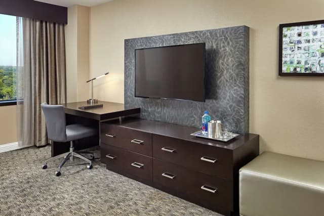 ヒルトン ヒューストン プラザ / メディカル センター-デラックス ルーム キングベッド 1 台-2