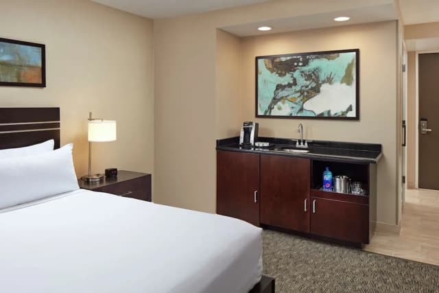 ヒルトン ヒューストン プラザ / メディカル センター-デラックス ルーム キングベッド 1 台-4