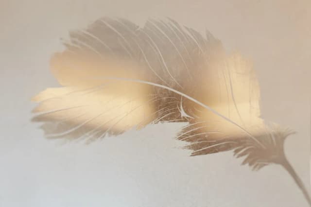 Mandarin Oriental Hyde Park, London-Deluxe Room, 1 King Bed-2