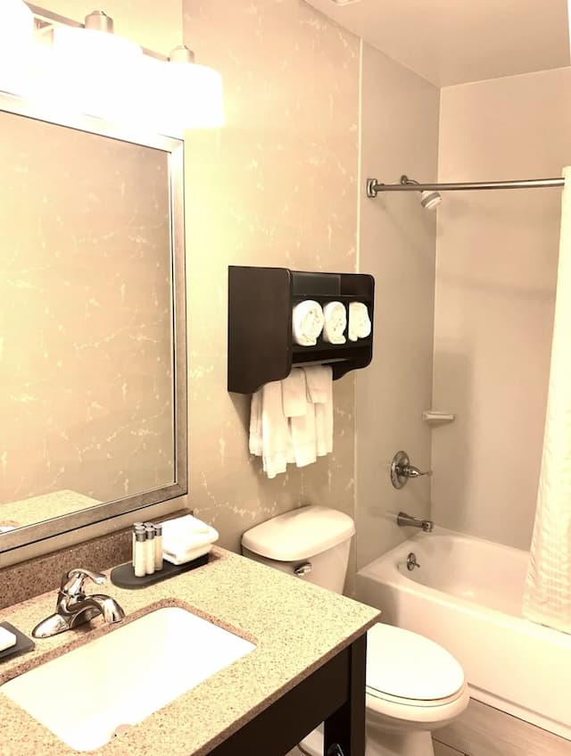 The Hotel @ Fifth Avenue-华丽客房, 1 张特大床-2