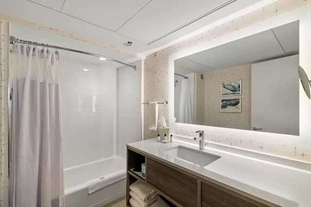 クラウン プラザ ヒューストン メッド センター-ギャレリア エリア by IHG-スタンダード ルーム キングベッド 1 台-12