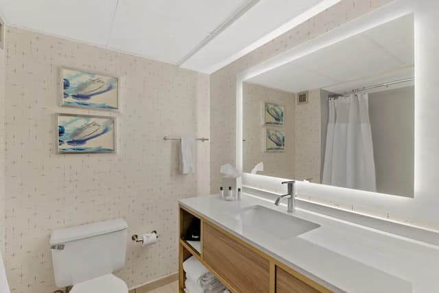 クラウン プラザ ヒューストン メッド センター-ギャレリア エリア by IHG-スタンダード ルーム キングベッド 1 台-11