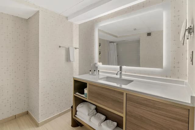 クラウン プラザ ヒューストン メッド センター-ギャレリア エリア by IHG-スタンダード ルーム キングベッド 1 台-13