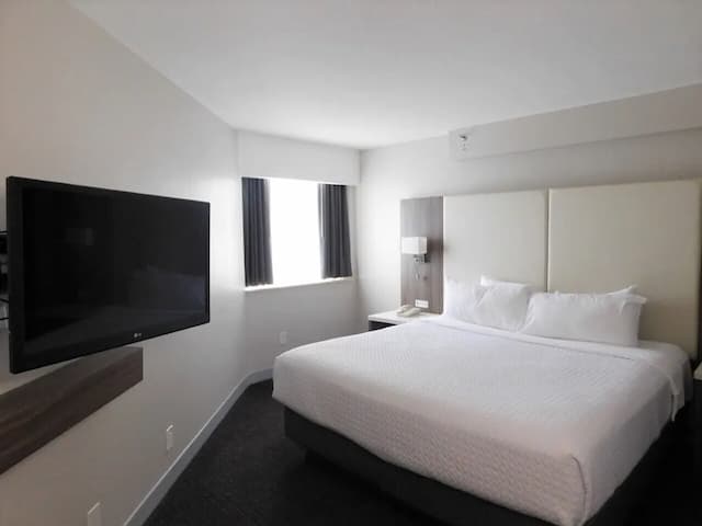 クラウン プラザ ヒューストン メッド センター-ギャレリア エリア by IHG-スタンダード ルーム キングベッド 1 台 (Worklife)-3