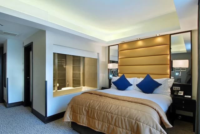 Park Grand Mayfair-俱乐部双人房-1