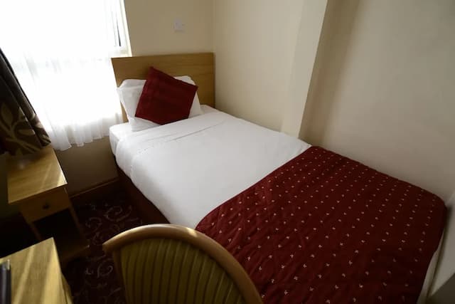 Britannia Inn Hotel-单人房-6
