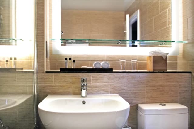 聖爾敏斯飯店 - 奧特格拉夫精選飯店-客房, 1 張加大雙人床-5