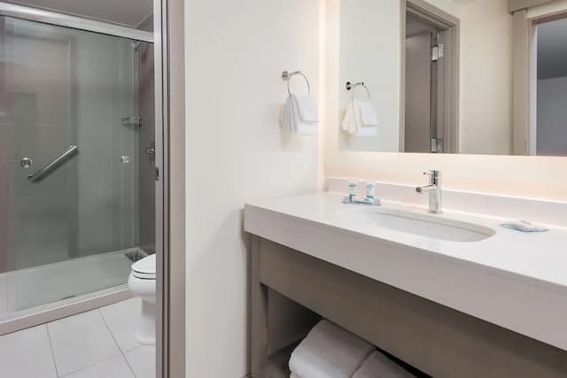 芝加哥西圓環凱悅嘉寓飯店-開放式套房, 1 張特大雙人床 (High Floor)-4