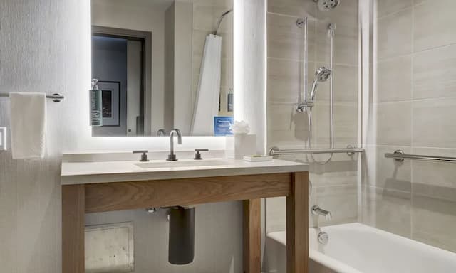 Hilton University of Houston-客房, 1 张特大床, 无障碍, 浴缸 (University View)-2