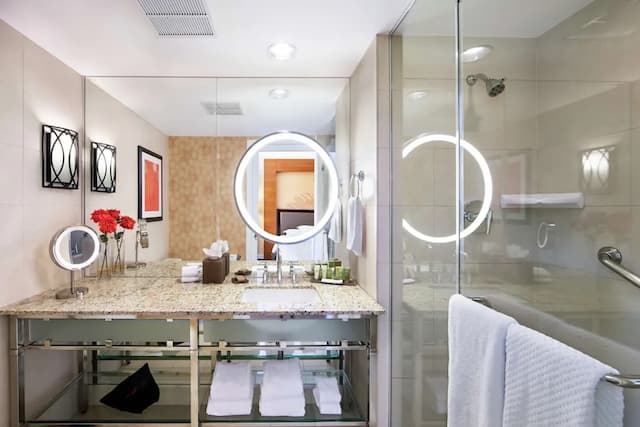 Hilton University of Houston-客房-2