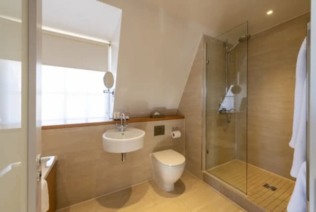 阿佩克斯頂點寺苑飯店-豪華客房-4