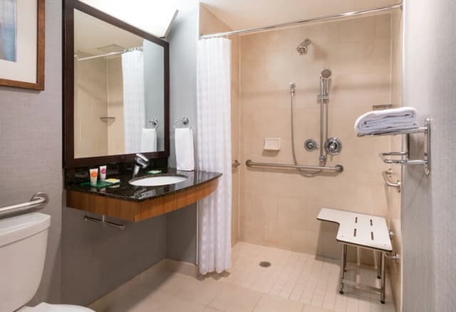 Hyatt Place New York Midtown South-客房, 1 张特大床, 无障碍 (Shower)-6