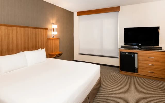 Hyatt Place New York Midtown South-客房, 1 张特大床, 无障碍 (Shower)-1