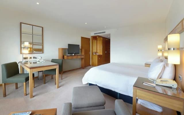 카나리아 리버사이드 플라자 호텔-프리미어룸, 킹사이즈침대 1개-5