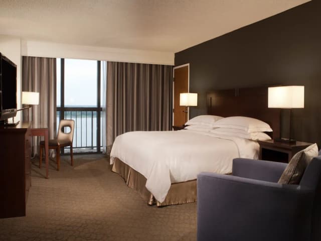 Hilton Houston NASA Clear Lake-套房, 1 张特大床, 无障碍 (Mobility & Hearing, Roll-in Shower)-2