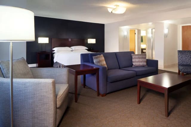 Hilton Houston NASA Clear Lake-套房, 1 张特大床, 无障碍 (Mobility & Hearing, Roll-in Shower)-5