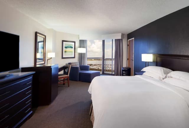 Hilton Houston NASA Clear Lake-套房, 1 张特大床, 无障碍 (Mobility & Hearing, Roll-in Shower)-3