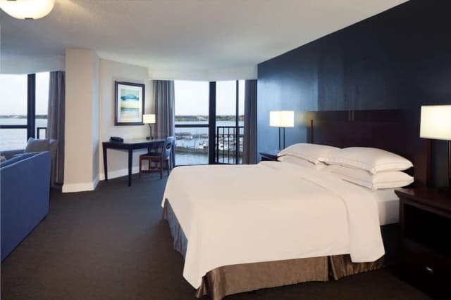 Hilton Houston NASA Clear Lake-套房, 1 张特大床, 无障碍 (Mobility & Hearing, Roll-in Shower)-7