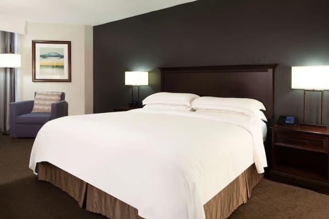 힐튼 휴스턴 나사 클리어 레이크-룸, 킹사이즈침대 1개, 호수 전망-1