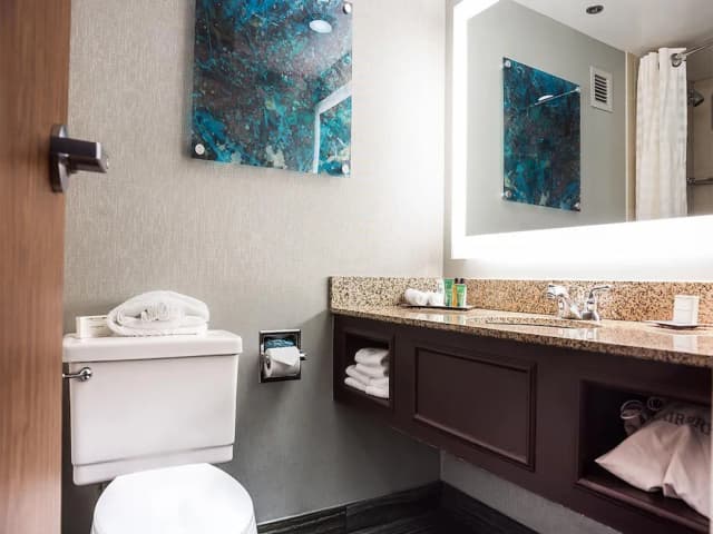 힐튼 휴스턴 나사 클리어 레이크-룸, 킹사이즈침대 1개, 호수 전망-6