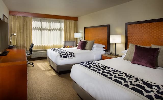 派拉蒙酒店-都會客房, 2 張加大雙人床-1