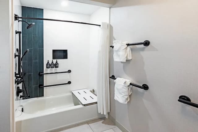 ホテル インディゴ スプリング - ウッドランズ エリア by IHG-ルーム キングベッド 1 台 バリアフリー レイクビュー (Communications)-6