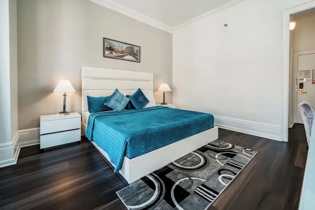 Congress Plaza Hotel-标准房, 1 张特大床-1