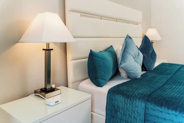 Congress Plaza Hotel-标准房, 1 张特大床-5