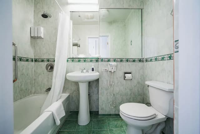 Congress Plaza Hotel-标准房, 1 张大床-5