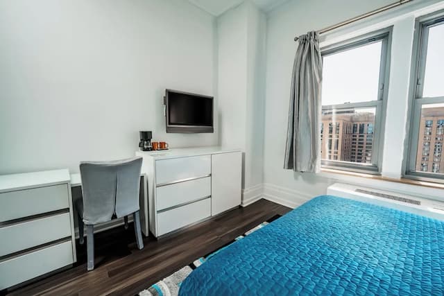 Congress Plaza Hotel-标准房, 1 张大床-4