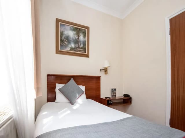 세인트 조지 호텔-스탠다드 싱글룸-4