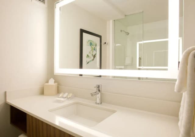 Hilton Garden Inn New York/Central Park South-Midtown West-华丽客房, 1 张特大床, 露台-4