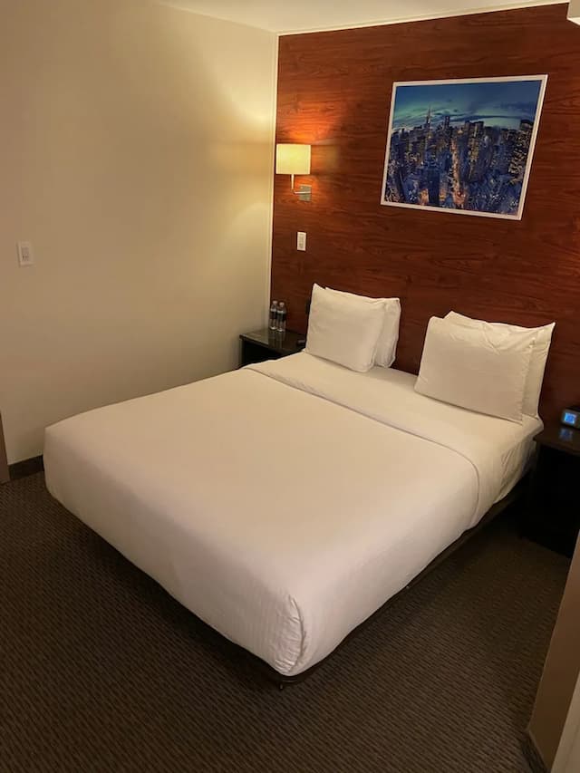 紐約雷迪森萊辛頓酒店-高級客房, 1 張加大雙人床-7