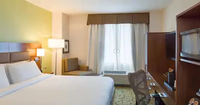 ヒルトン ガーデン イン ニューヨーク / マンハッタン - ミッドタウン イースト-ルーム キングベッド 1 台 バリアフリー 禁煙 (Roll-in Shower)-5