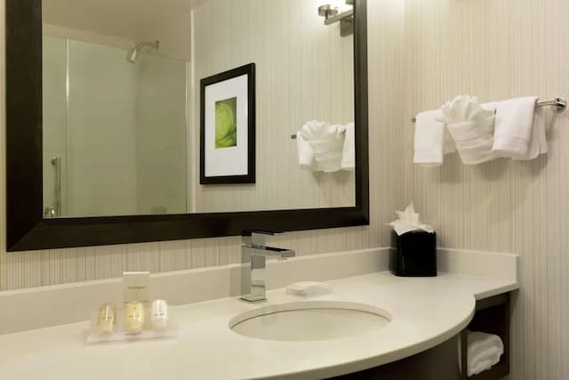 ヒルトン ガーデン イン ニューヨーク / マンハッタン - ミッドタウン イースト-ルーム キングベッド 1 台 テラス シティビュー-4