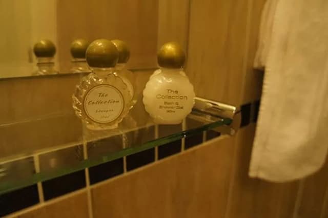 サファイア ホテル-ツインルーム 専用バスルーム-10