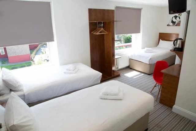 切爾西客房酒店-高級三人房-6