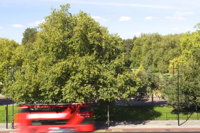 더 웰즐리 나이츠브리지, 럭셔리 콜렉션 호텔-스위트, 킹사이즈침대 1개, 공원 전망-5