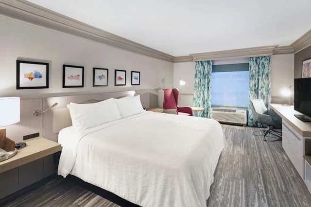 芝加哥北岸/埃文斯頓希爾頓花園飯店-套房, 1 張特大雙人床, 非吸煙房-4