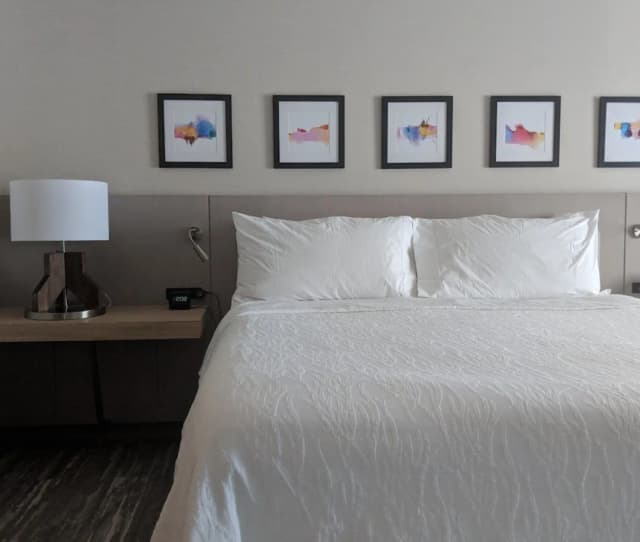 芝加哥北岸/埃文斯頓希爾頓花園飯店-標準大床-3