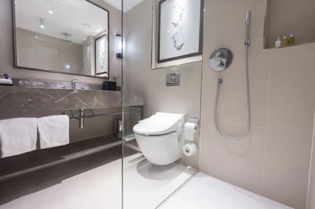 ハイアット リージェンシー ロンドン、ザ チャーチル-ルーム キングベッド 1 台 ガーデンビュー-2