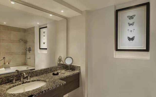 ハイアット リージェンシー ロンドン、ザ チャーチル-Regency エグゼクティブ スイート キングベッド 1 台-13