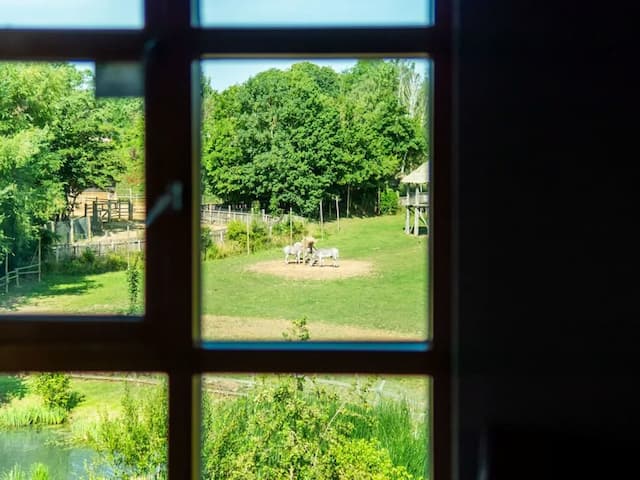 チェシントン リゾート ホテル-Safari King Family room with bunk beds & Wanyama view-4