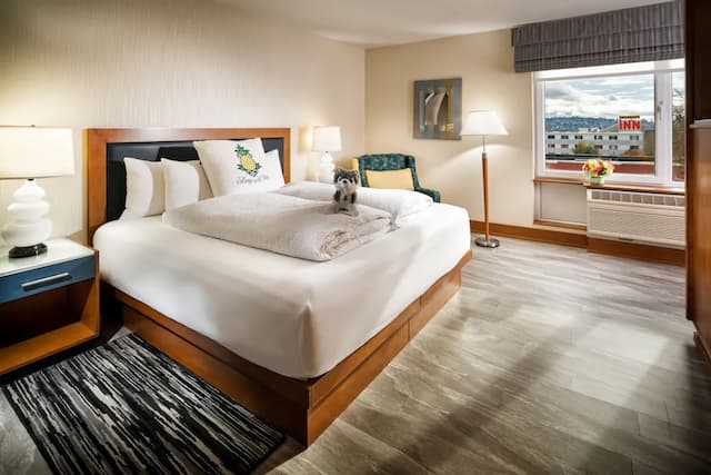 스테이파인애플, 워터타운 호텔, 유니버시티 디스트릭트 시애틀-스튜디오, 킹사이즈침대 1개, 장애인 지원 (Communication Features)-2